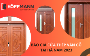 Báo giá cửa thép vân gỗ Hà Nam mới nhất