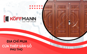 Địa chỉ mua cửa thép vân gỗ Phú Thọ