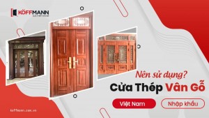 Nên dùng Cửa thép vân gỗ nhập khẩu hay Việt Nam?