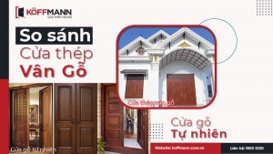 So sánh cửa thép vân gỗ và cửa gỗ: Khách quan & chi tiết nhất