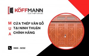 Mua cửa thép vân gỗ tại Ninh Thuận chính hãng