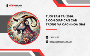 Giải mã tuổi Tam Tai 2026 và cách hóa giải chuẩn phong thủy