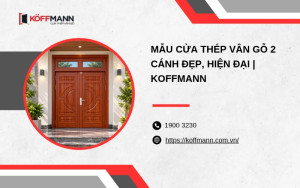 Mẫu cửa thép vân gỗ 2 cánh đẹp, hiện đại