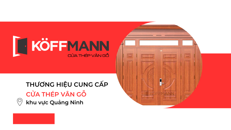 Thương hiệu cung cấp cửa thép vân gỗ tại Quảng Ninh