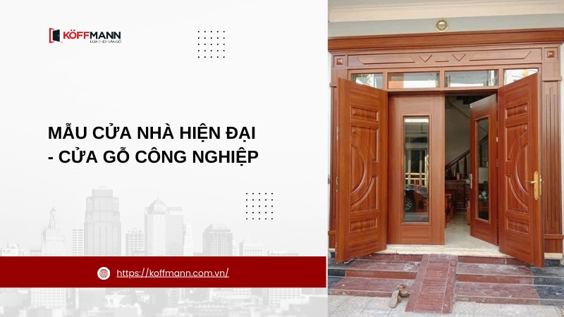 mau cua nha hien dai cua go cong nghiep