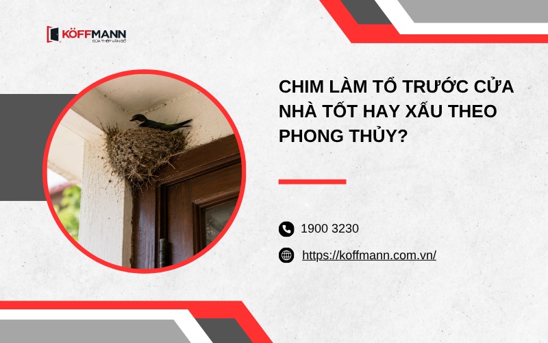Chim làm tổ trước cửa nhà tốt hay xấu theo phong thủy?