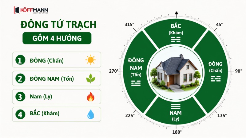 dong tu trach gom nhung huong nao